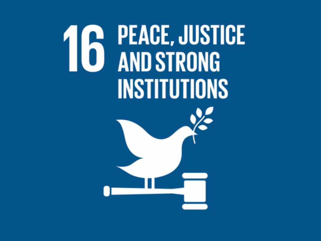 SDG 16
